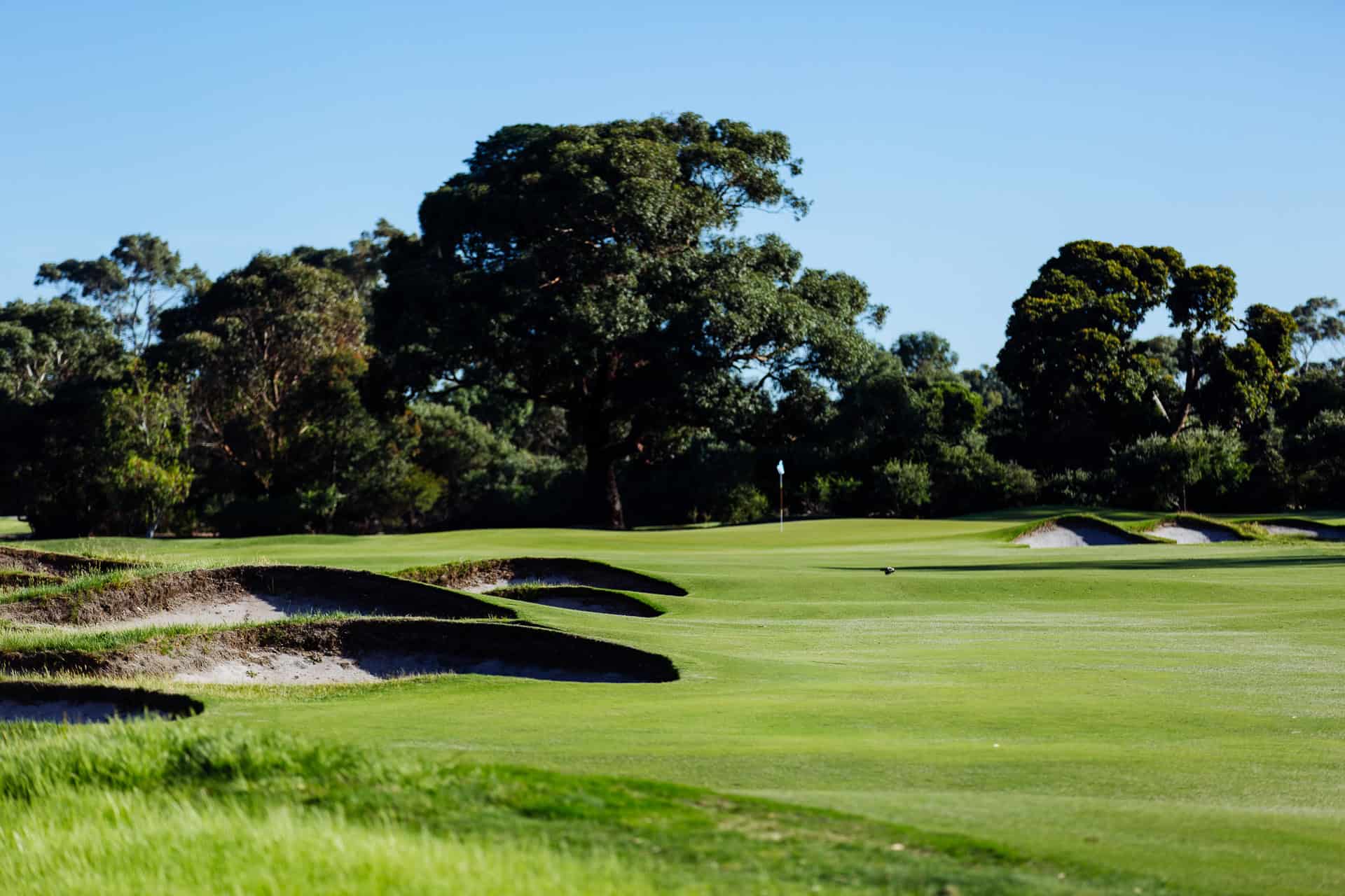 kingston heath golf