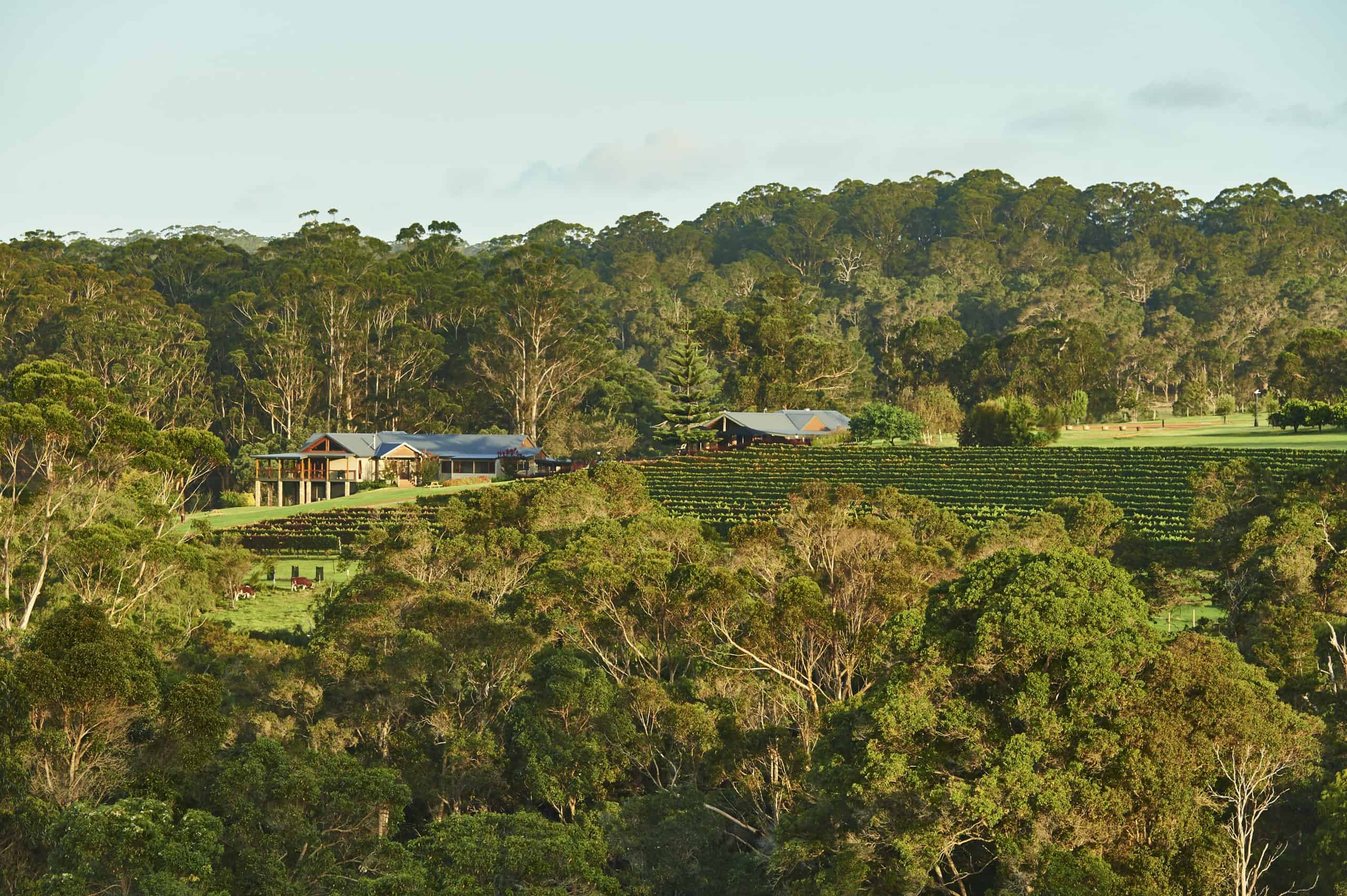 SinglefileWines_Greenery